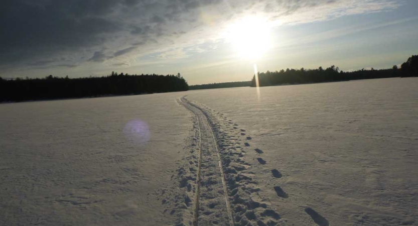 Footprints and ski tracks stretch over the snow toward the tree line in the background. 